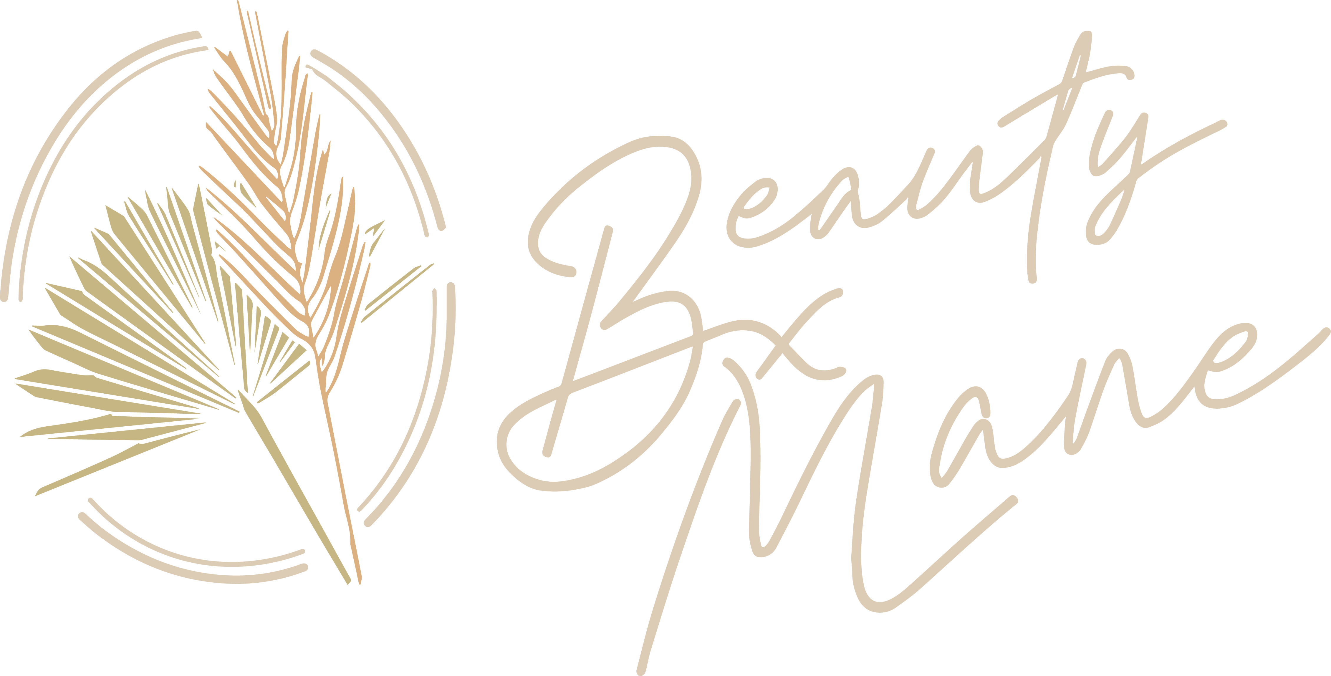 BxM_Primary_Logo-Multicolor-3