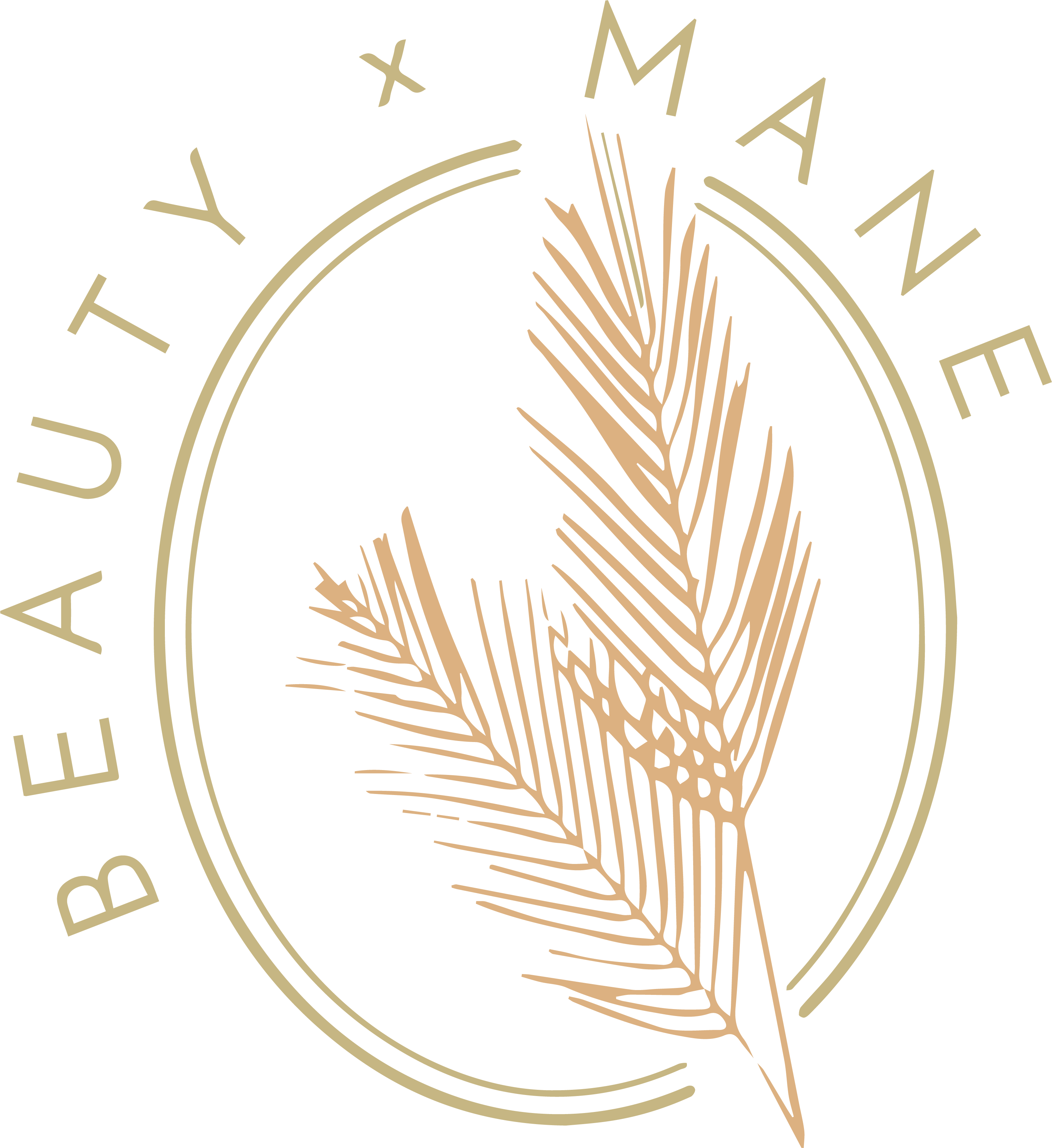 BxM_Tertiary-Logo-Multicolor-3